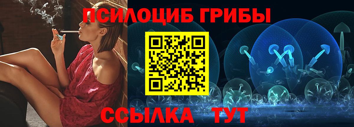Псилоцибиновые грибы Cubensis  Вход с VPN  Комсомольск-на-Амуре 